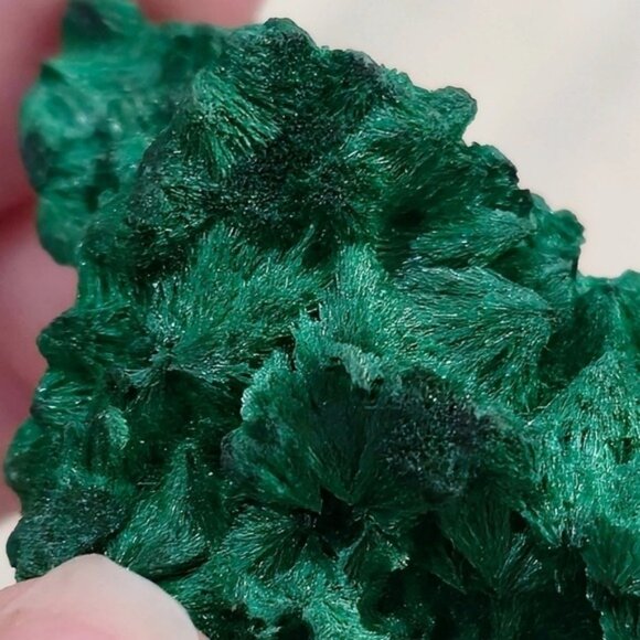 Natural Flowery Malachite ✦ Velvet Green Crystal Specimen ✦ Healing Stone 38g - Picture 3 of 16